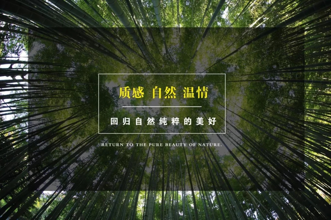 有一种爱，叫置身自然