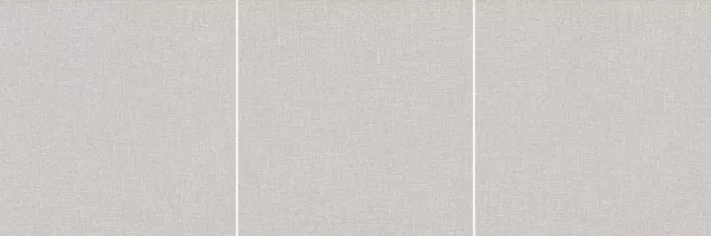 036.webp.jpg